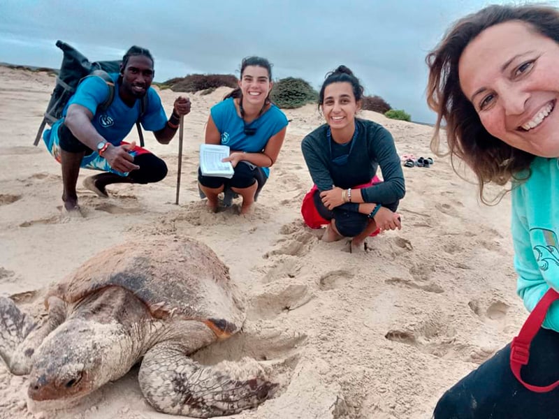 cabo-verde-conservacion-tortuga-marina