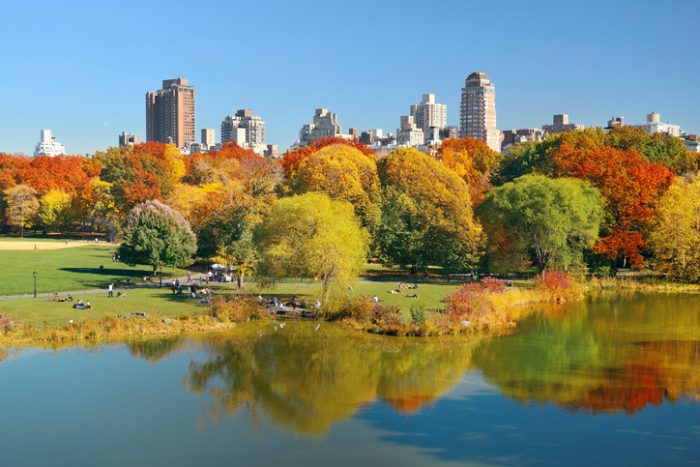 Live out an authentic New York adventure with RIU | Blog RIU.com