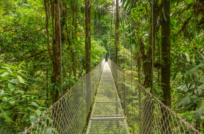 Suspension bridge in Costa Rica