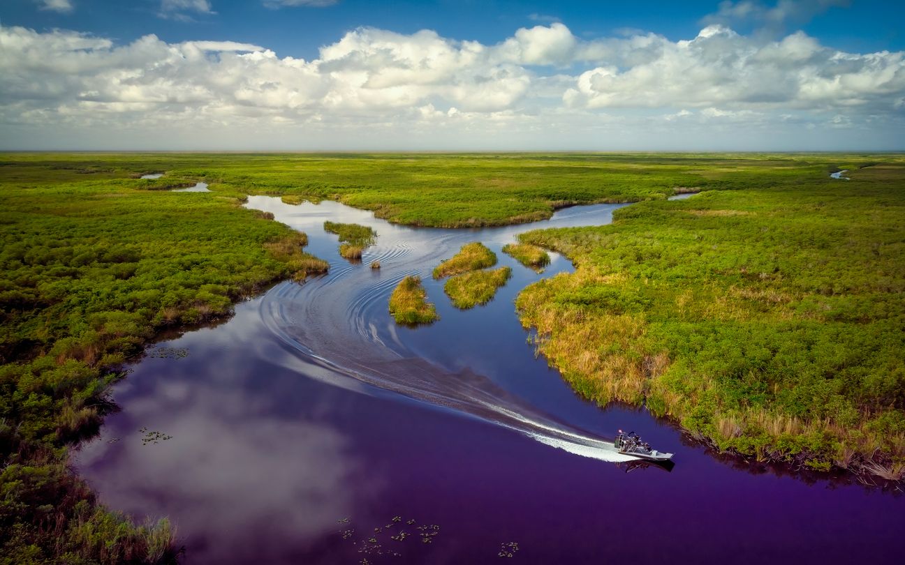 paseo en hidrodeslizador por los Everglades